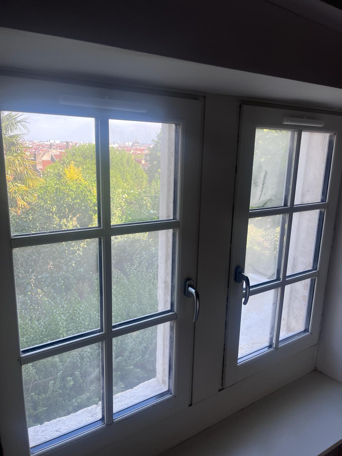 Vitres Lyon avant